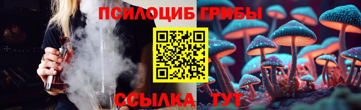 Галлюциногенные грибы мухоморы Коркино